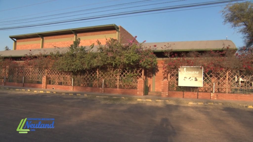 Conservatorio Sonare: dedicados a promover y potenciar el arte y la creatividad local