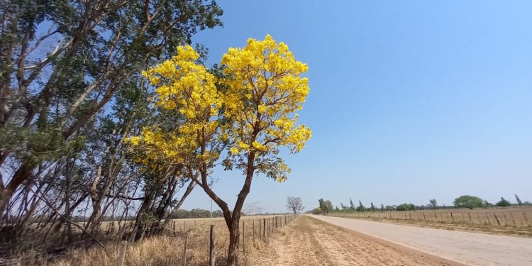 Pronostican temperaturas calurosas con tormentas eléctricas al final de la jornada