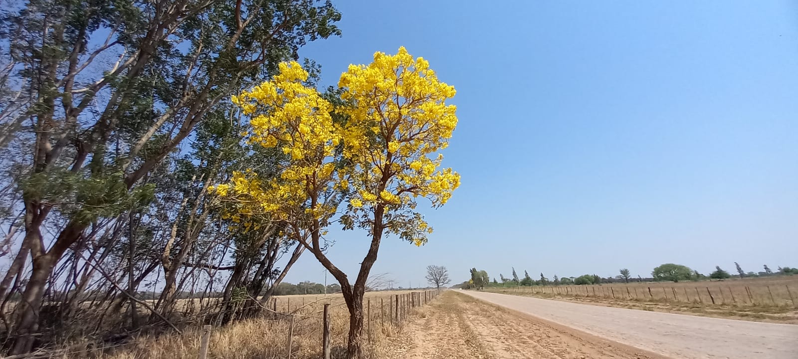 Pronostican temperaturas calurosas con tormentas eléctricas al final de la jornada