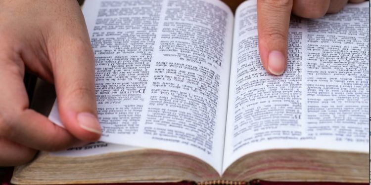 El infortunado «orden» que se instala sobre el mundo El infortunado «orden» que se instala sobre el mundo