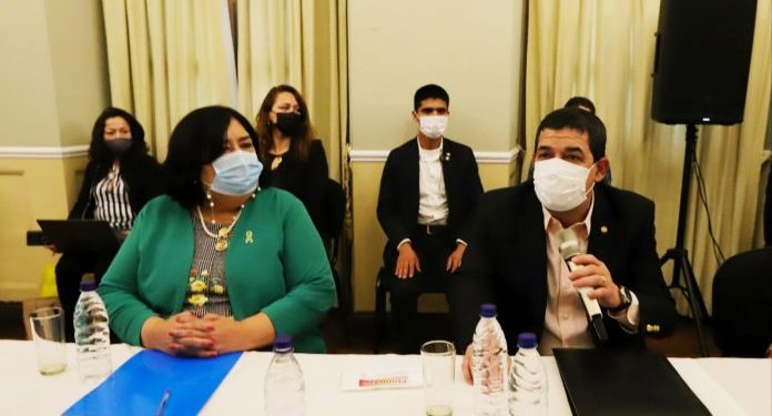 Comisión Redactora inicia análisis del Plan Nacional de Niñez y Adolescencia