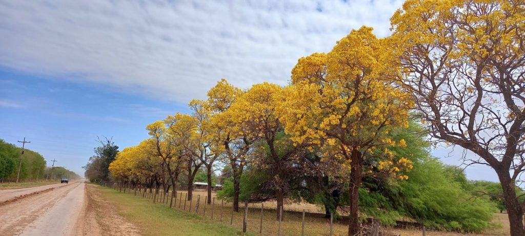 El inicio de la primavera estará fresco e inestable