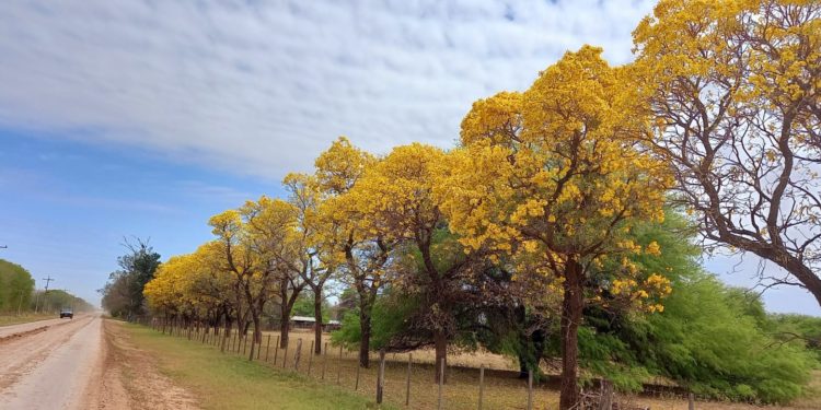 El inicio de la primavera estará fresco e inestable