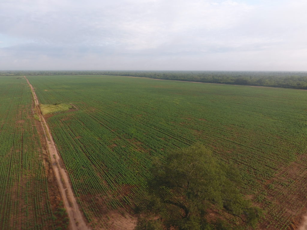 Las invasiones: grandes negocios para políticos