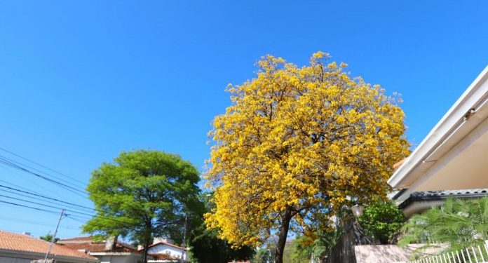 Se anuncia un viernes cálido con precipitaciones dispersas Se anuncia un viernes cálido con precipitaciones dispersas
