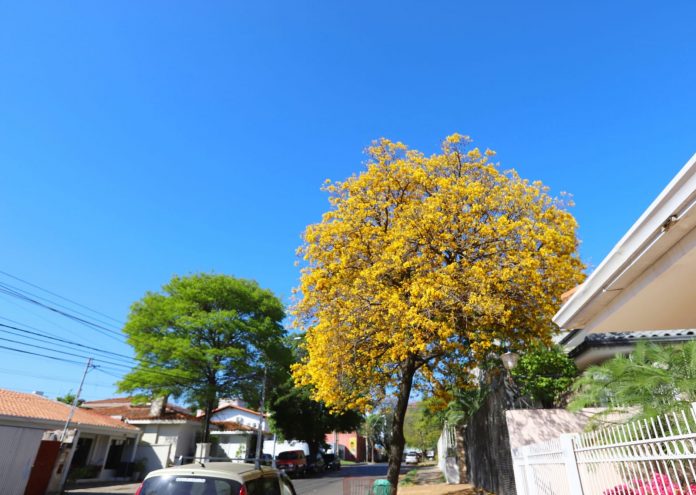 Se anuncia un viernes cálido con precipitaciones dispersas