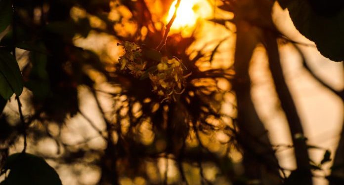 Se anuncia una jornada calurosa con vientos moderados del norte