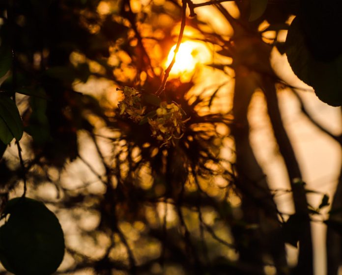 Se anuncia una jornada calurosa con vientos moderados del norte
