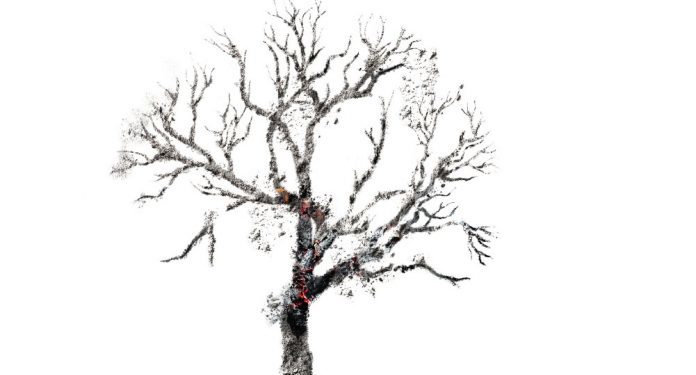 Sequía y alerta de incendios persisten e instan a no bajar la guardia y no realizar quemas