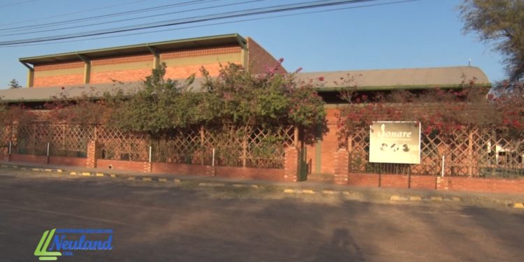 Conservatorio Sonare: dedicados a promover y potenciar el arte y la creatividad local Conservatorio Sonare: dedicados a promover y potenciar el arte y la creatividad local