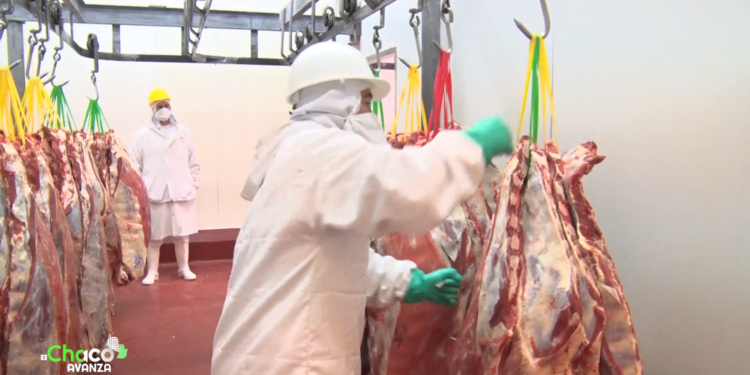 Del frigorífico a tu mesa: así se realiza el proceso de corte de costillas en Frigochorti Del frigorífico a tu mesa: así se realiza el proceso de corte de costillas en Frigochorti