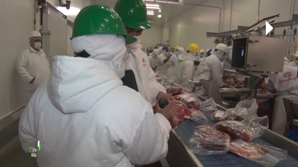 Control de calidad: un proceso fundamental dentro de la industria cárnica