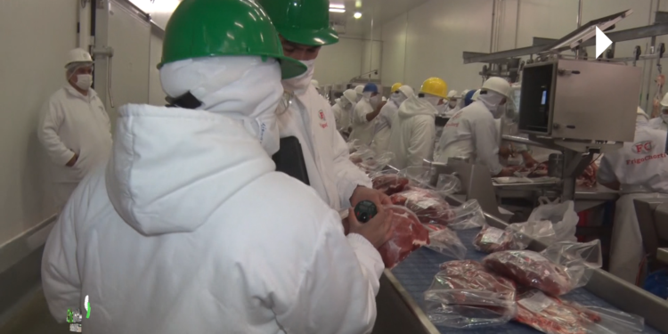 Control de calidad: un proceso fundamental dentro de la industria cárnica