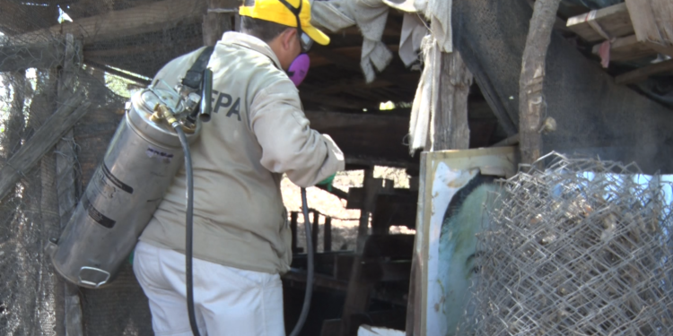 Realizan tarea de detección de chagas casa por casa en barrios de Filadelfia