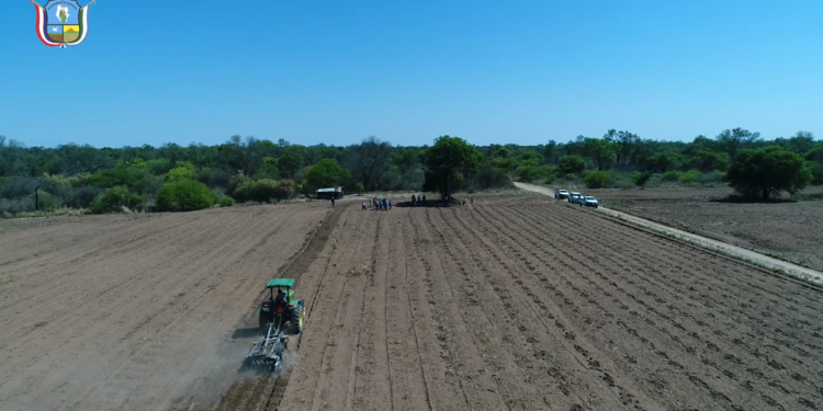 Aguardan que este año el clima propicie el éxito del plan agrícola en Boquerón