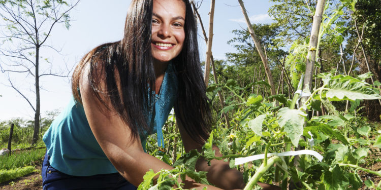 Lanzan ARA, iniciativa para valorizar la agricultura familiar paraguaya