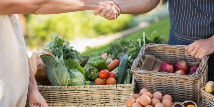 No atacar la base multiplicadora de alimentos