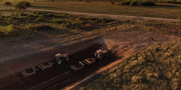 Incesante movimiento de maquinarias en la “Ruta de la Leche”