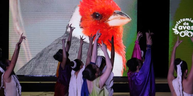 Nueva opción turística en el Yacht: Observar aves en su máximo esplendor Nueva opción turística en el Yacht: Observar aves en su máximo esplendor