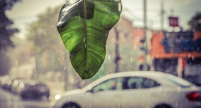 Mitad de semana con clima caluroso y tormentas eléctricas para el final de la tarde