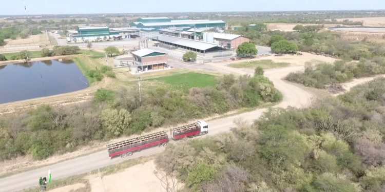 Aspectos que tiene en cuenta un frigorífico para lograr obtener productos de alta calidad Aspectos que tiene en cuenta un frigorífico para lograr obtener productos de alta calidad