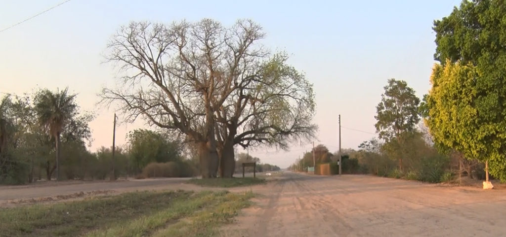 Jornadas frescas a cálidas, sin precipitaciones importantes para esta semana