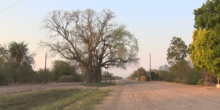 Jornadas frescas a cálidas, sin precipitaciones importantes para esta semana