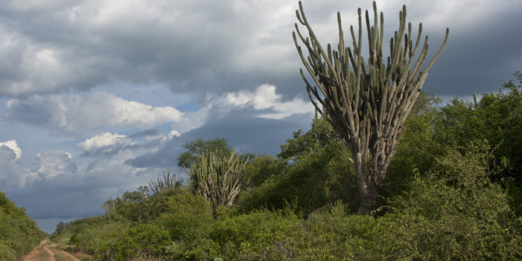 Anuncian jornada calurosa con chaparrones y tormentas eléctricas Anuncian jornada calurosa con chaparrones y tormentas eléctricas