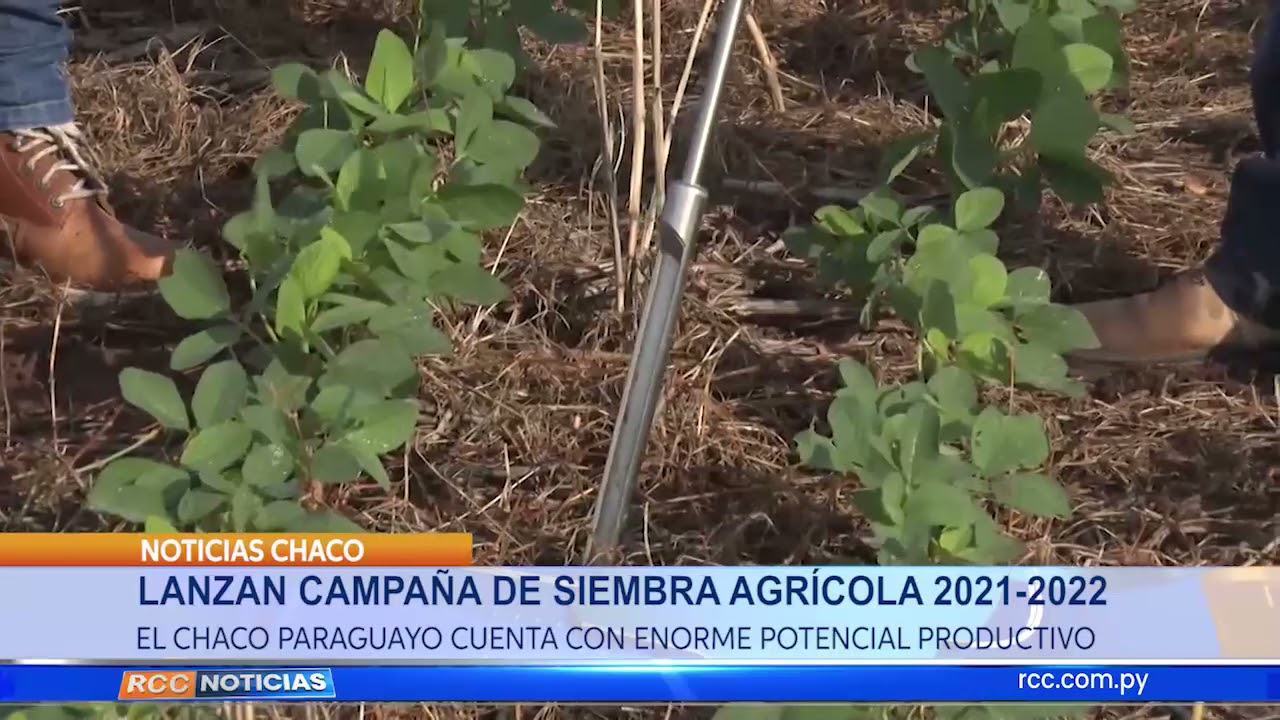 LANZAN CAMPAÑA DE SIEMBRA AGRÍCOLA 2021-2022