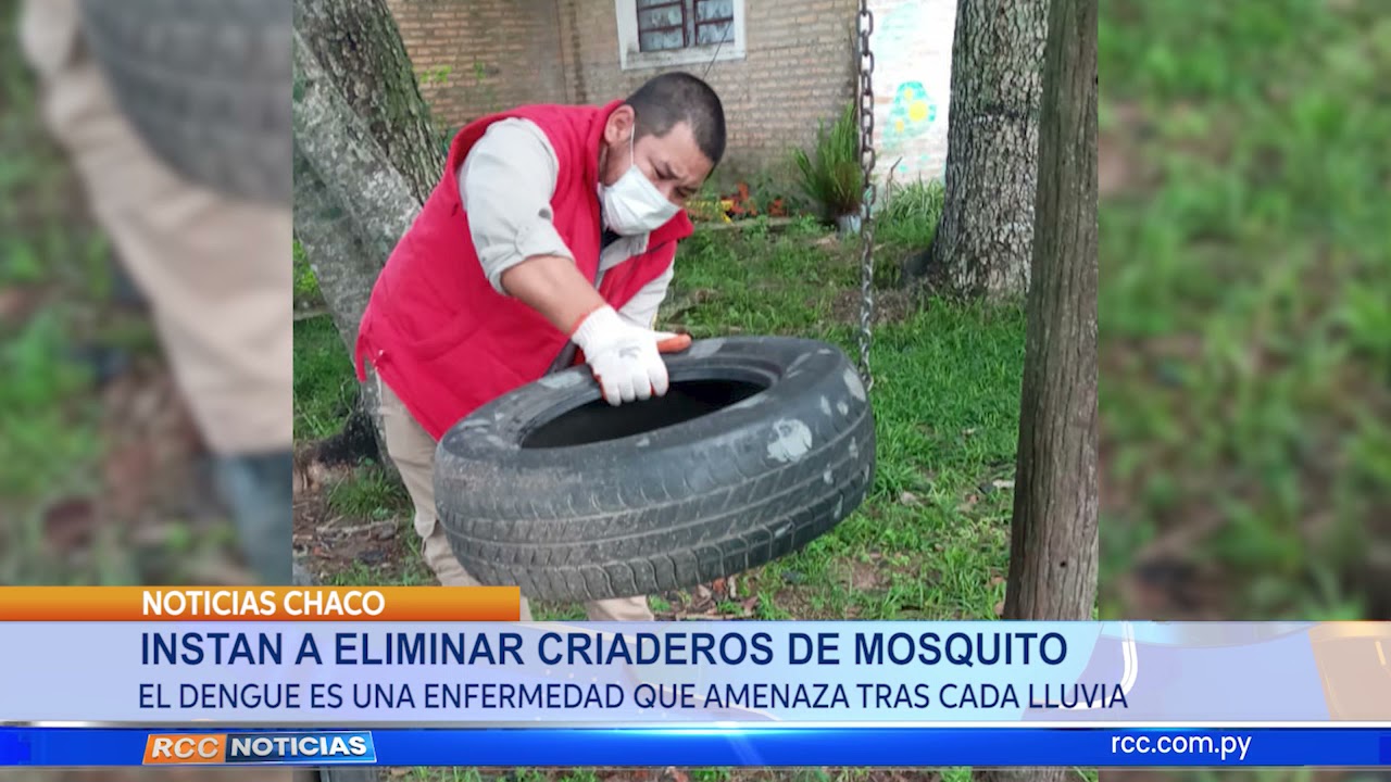 Instan a eliminar criaderos de mosquito