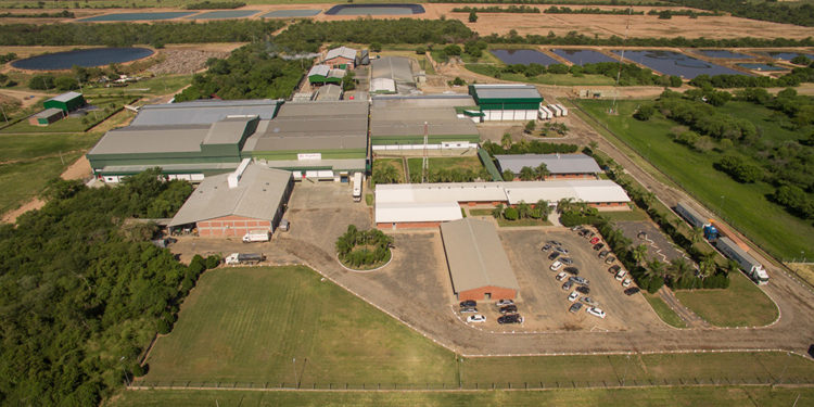 FrigoChorti celebra 19 años de prosperidad