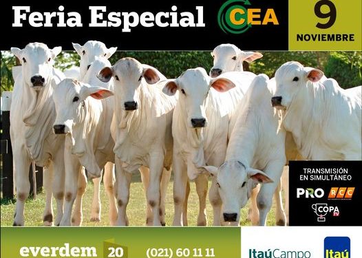 Habilitan pre ofertas para comercialización de 1.419 cabezas en Feria Especial del CEA Habilitan pre ofertas para comercialización de 1.419 cabezas en Feria Especial del CEA