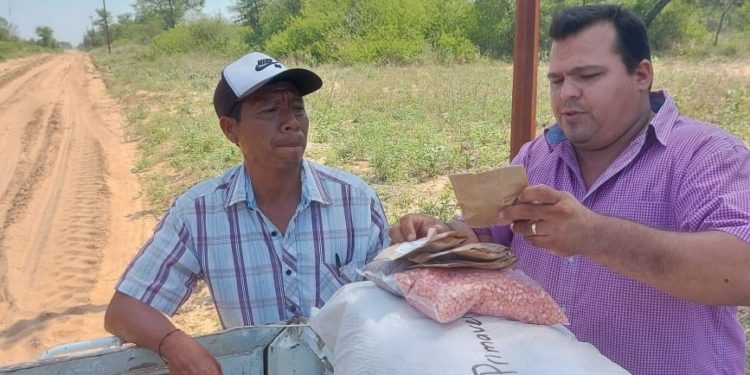 Últimas lluvias mantienen el optimismo de productores indígenas del Chaco Últimas lluvias mantienen el optimismo de productores indígenas del Chaco