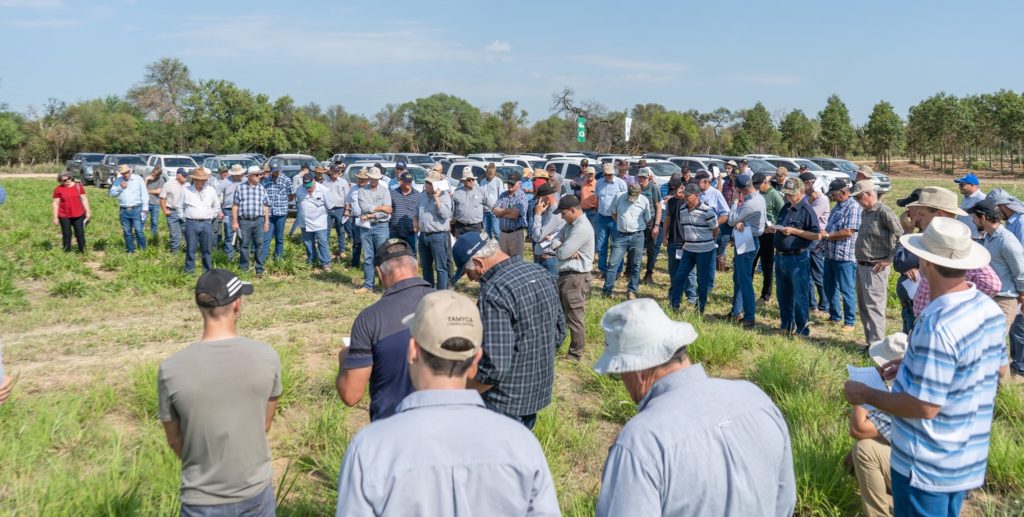 Chortitzer desea fortalecer toda la cadena cárnica en conjunto con los productores