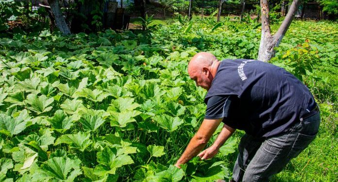 Granja penitenciaria acrecienta volumen de producción para autoconsumo y venta