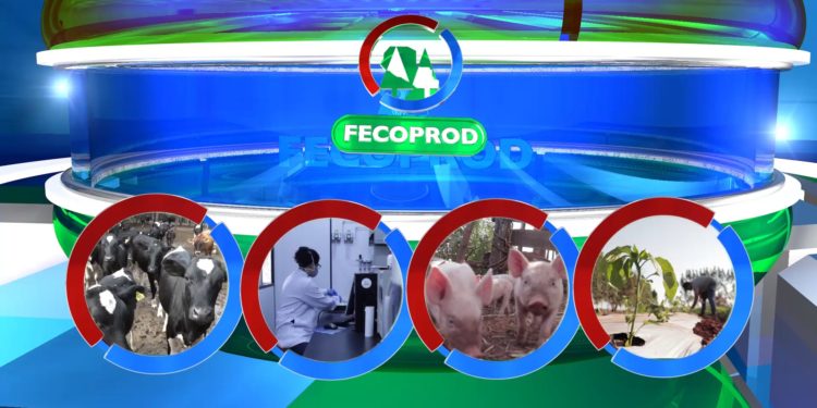 FECOPROD estrena nuevo programa televisivo mediante alianza con RCC