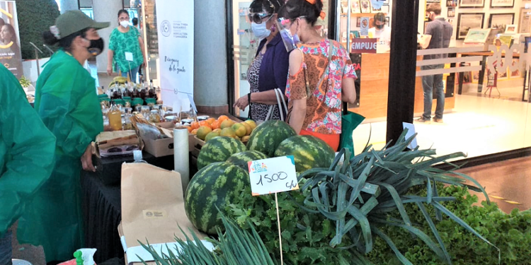 Productores realizaron la feria agropecuaria «De Raíz» en Shopping