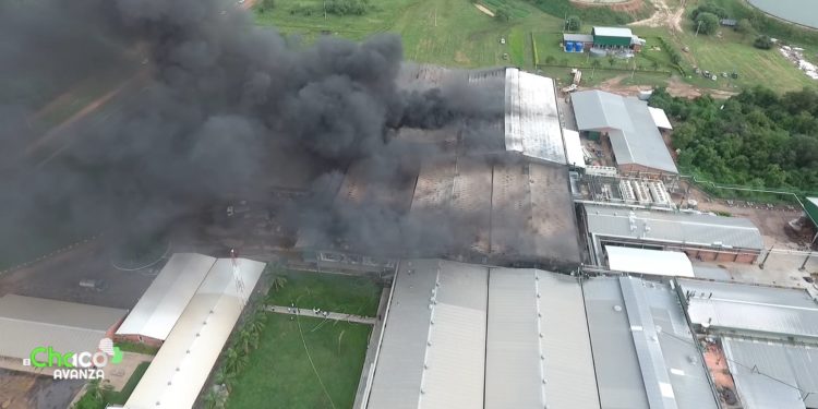 FrigoChorti: El renacer desde las cenizas FrigoChorti: El renacer desde las cenizas