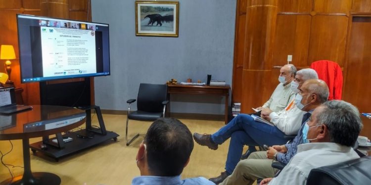 Avanza estudio de factibilidad sobre condiciones del puente Remanso y la ruta PY09