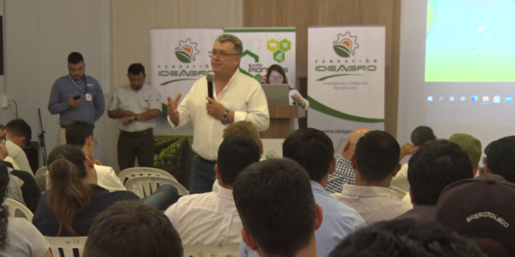 La importancia de la rotación y cobertura de suelo para la producción chaqueña La importancia de la rotación y cobertura de suelo para la producción chaqueña