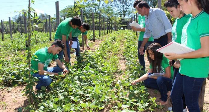 Buscan incluir cultura emprendedora en el programa curricular escolar