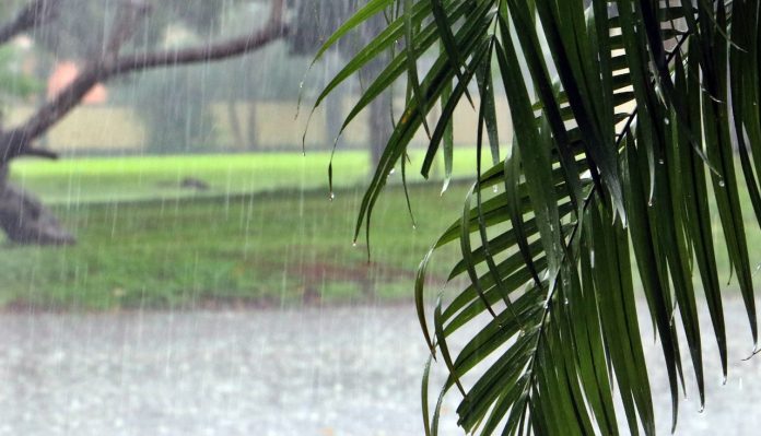 Mitad de semana con clima caluroso e inestable