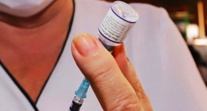 Equipo de USF vacunó a más de 84.700 personas Equipo de USF vacunó a más de 84.700 personas