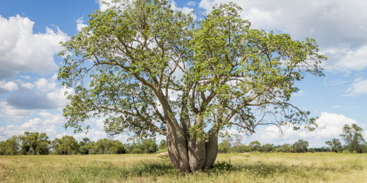 Pronostican temperaturas calurosas con vientos del sureste