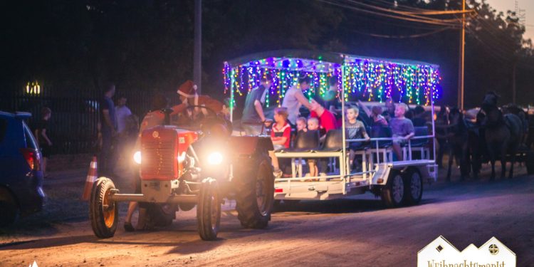 Mercadillo navideño causa sensación en Loma Plata