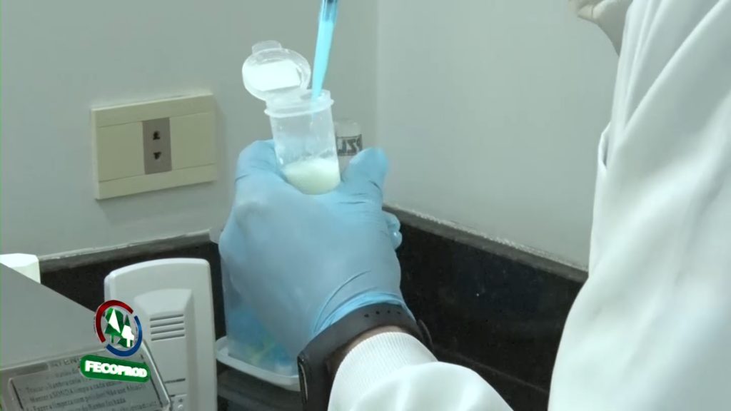 Buscan mejorar la competitividad lechera