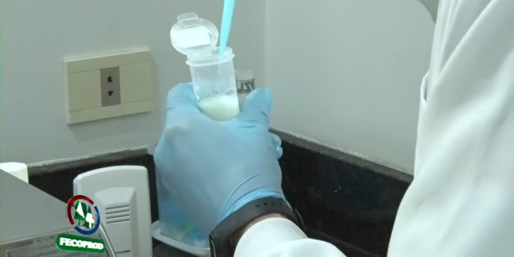 Buscan mejorar la competitividad lechera