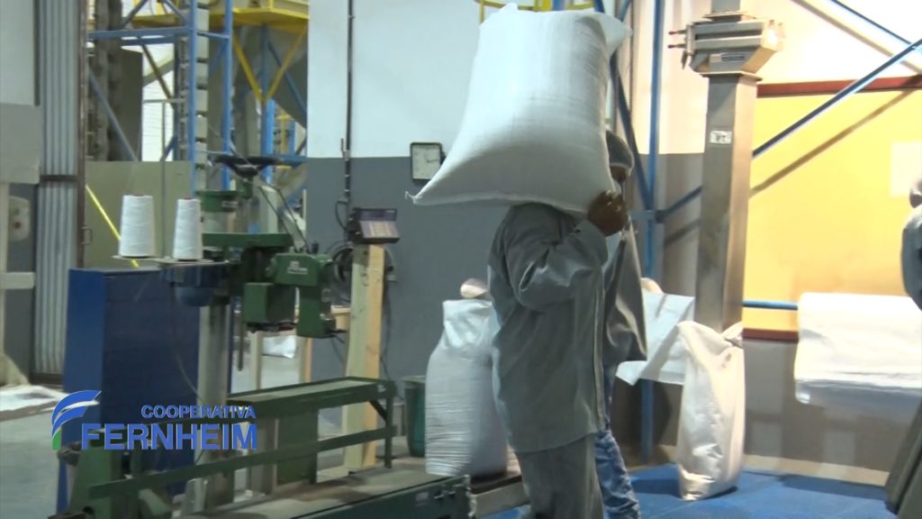 AgroChaco: Compra, procesa y comercializa productos agrícolas locales