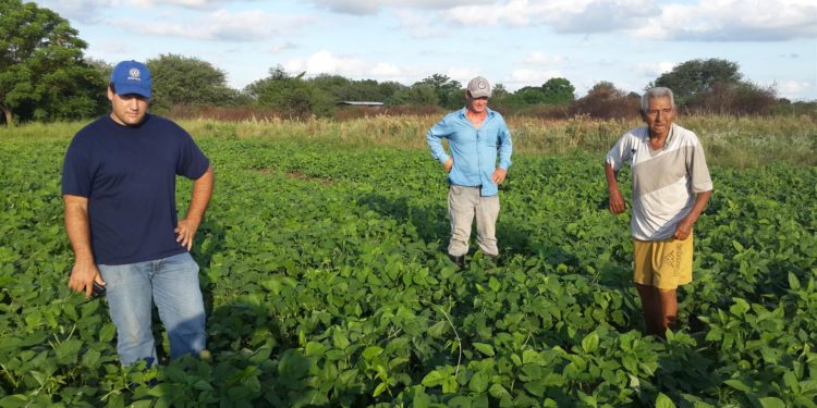 Familias indígenas del Chaco progresan mediante cooperación comunitaria Familias indígenas del Chaco progresan mediante cooperación comunitaria