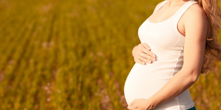 La importancia del ácido fólico en la salud prenatal La importancia del ácido fólico en la salud prenatal